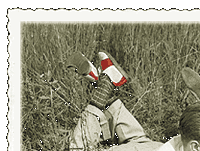 ap01.gif (18007 byte)