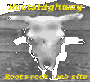 roots.gif (6766 byte)