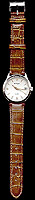 OldWatch.jpg (11916 byte)